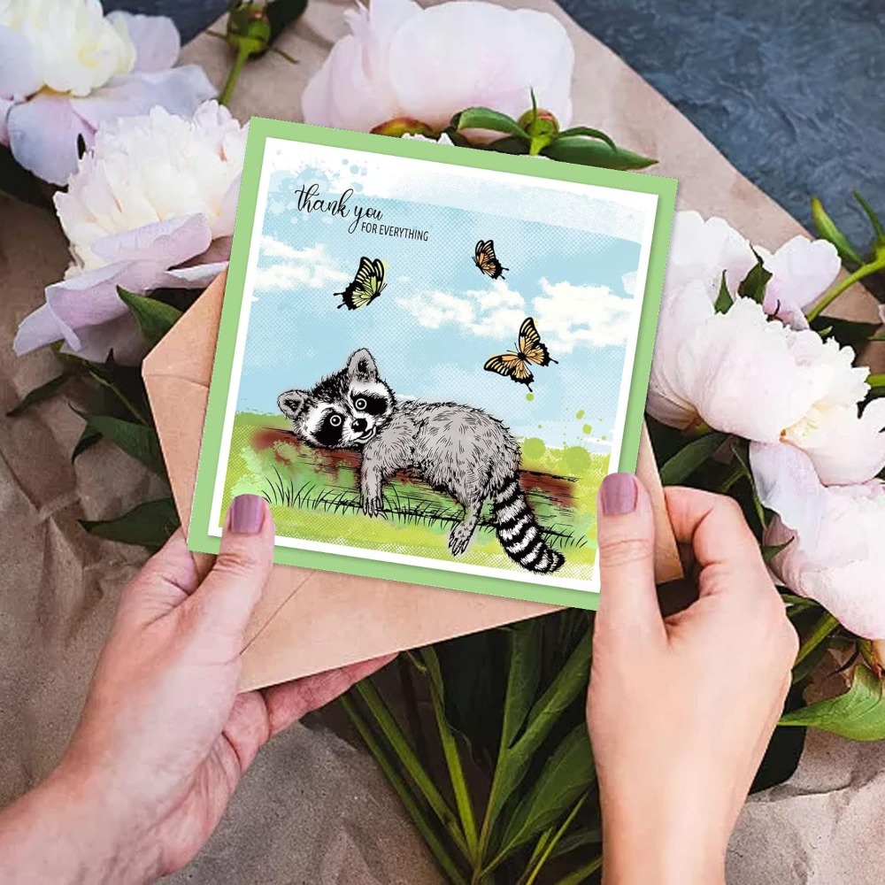 Realistic Raccoons Clear Stamp - Clear Silicone Stamps For Card Making review and price